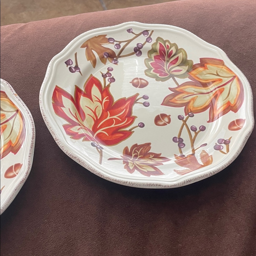 Two Autumn Leaf Pattern  Plates - Picture 3 of 6